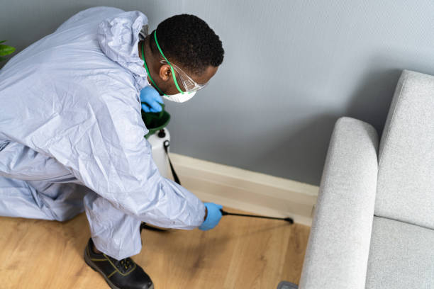 Best Real Estate Pest Inspections  in Lone Grove, OK